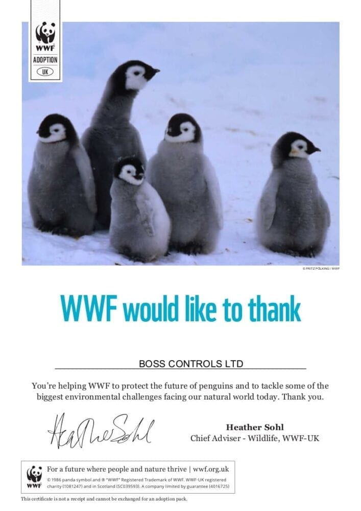 Boss Controls has adopted an Adélie penguin as part of its Corporate Social Responsibility Strategy.