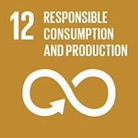 Global Goal 12: Responsible Consumption and Production